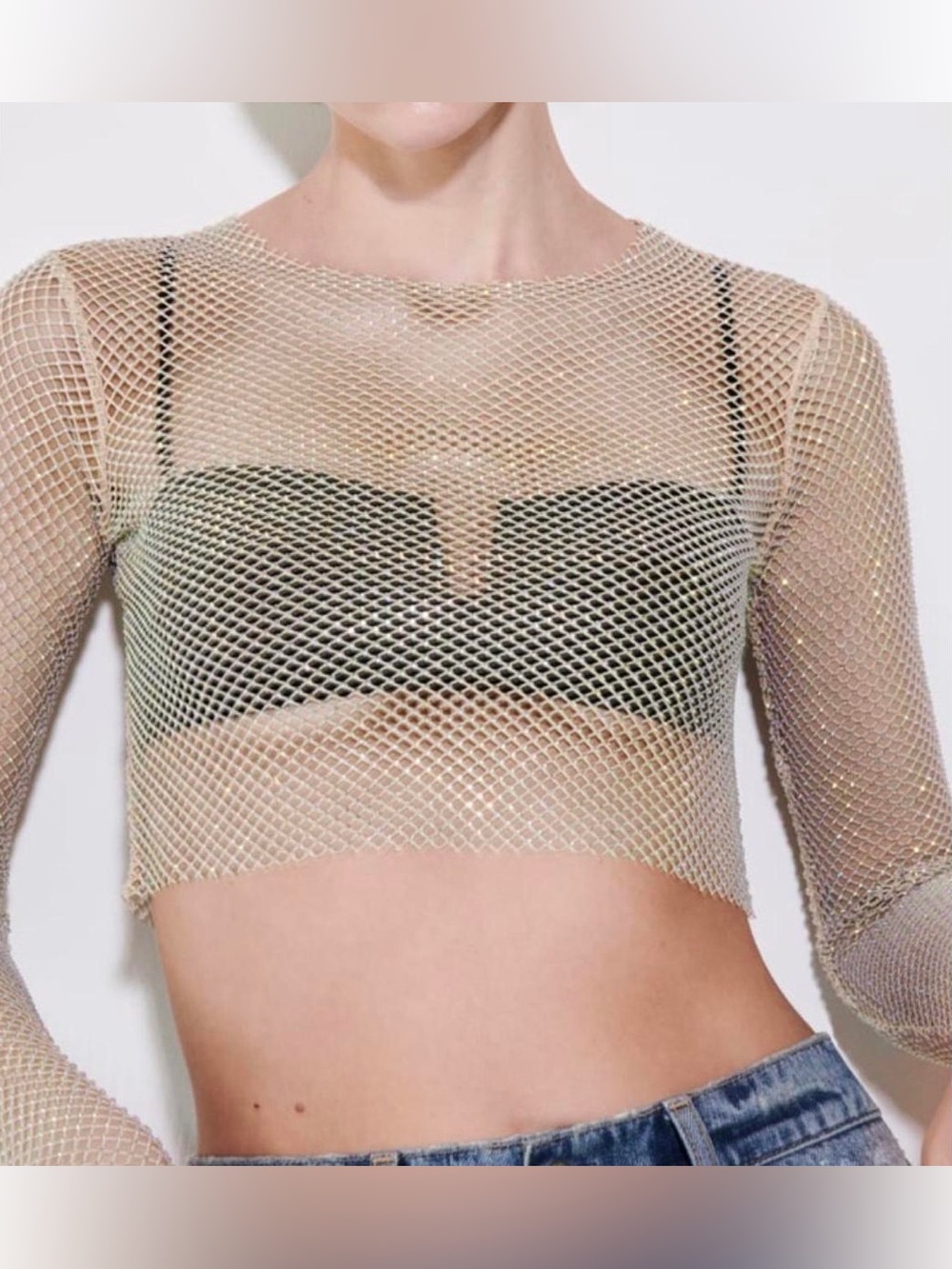 Zara Sheer Metallic Fishnet Crop Top in Nude